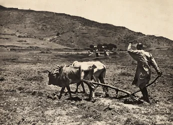 Construir um império na era fascista: aragem no altopiano, 09/05/1936 (foto a p/b)