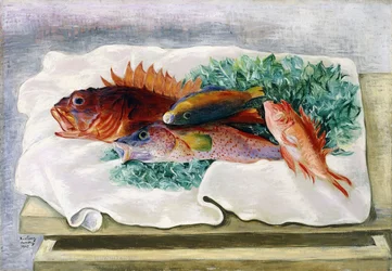 Peixe