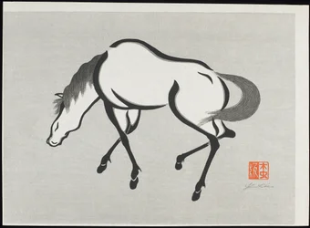 Cavalo (B)