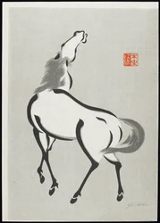 Cavalo (C)