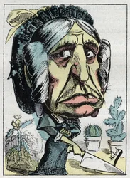 Alegoria da "madrasta" (Belle mere) em "Le Trombinoscope" de Touchatout, caricatura de B. Moloch de 1882 (1849-1909). Coleção particular.