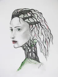 Morte de árvore