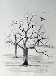 silenciosamente