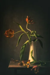 Natureza morta com tulipas melancólicas
