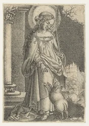 Santa Inês