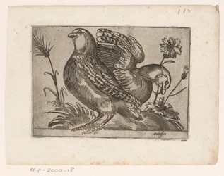 Duas codornas Quaglie (título no objeto) Aves (título da série)