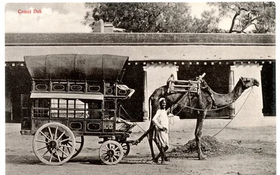Camel Dak, c.1911-12 (foto sépia)