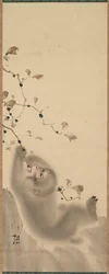 Macaco pendurado em um galho, 1780.