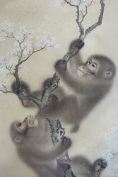 Macacos numa cerejeira em flor, 1 de 2, Mori Sosen, Japão, período Edo, início de 1800, tinta e cor sobre seda - Arthur M. Sackler Museum, Universidade de Harvard - DSC01127