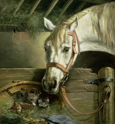 Cavalo e gatinhos, 1890