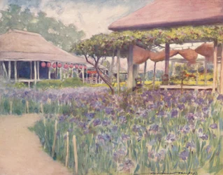 Um jardim de íris, 1903