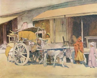 Um carro de boi, Ajmere, 1905