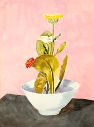 Taça de Flores, 1918.