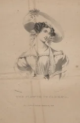 A flor de Cambria, litho por CG Childs, 1830