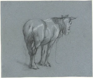 Estudo de um cavalo por trás, à direita Cavalos de batalha em pé (título da série)