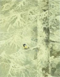 Pintassilgo numa árvore coberta de neve