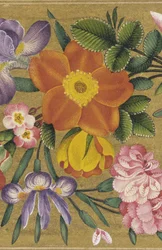 Página do Álbum de São Petersburgo, Índia, 1727 (cor no chão de ouro)