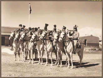 Trombeteiros do 4º Duque de Cambridges Cavalo próprio Hodsons
