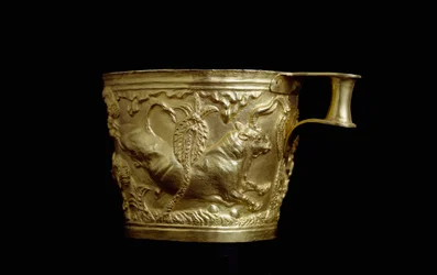 Arte Mycenian: decoração de taça de ouro de um touro em relevo de Váfio, fortaleza Mycenian ao sul do local de Esparta. 1500 AC Athenes, Museu Nacional de Arqueologia