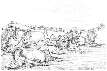 Nativos americanos que caçam búfalos, 1841.