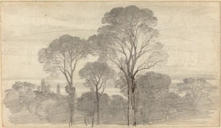 Uma paisagem noturna com árvores altas