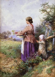 Voltando para casa,