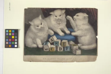 Os meus três gatinhos brancos (litografia colorida à mão)