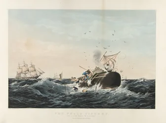 The Whale Fishery:O Cachalote 