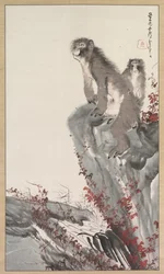 Macacos por um córrego