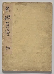 O livro ilustrado de Korin (Volume 1)