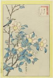 Pássaro azul e flores cor-de-rosa, 1859 (impressão do woodblock da cor)