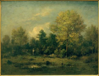 Paisagem com lago na floresta