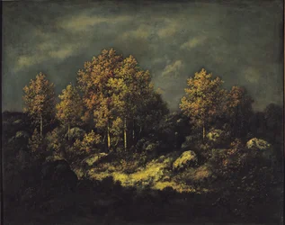 O Jean de Paris Heights na floresta de Fontainebleau, 1867