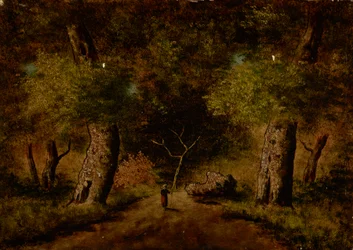 Paisagem