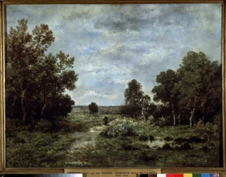 "Autumn in Fontainebleau" (Paysage d
