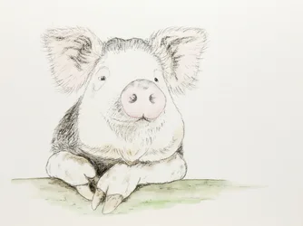 Porquinho fofo em aquarela