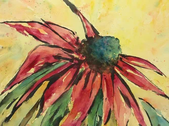 Echinacea vermelha vibrante
