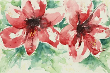 Flores vermelhas vibrantes