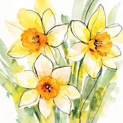 Narcisos amarelos em flor