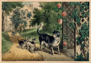 O regresso da gata, 1874-78.