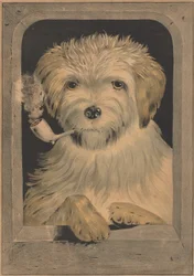 Tudo bem!, 1835-56., 1835-56.