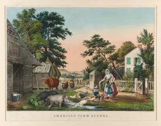 Cenas de fazenda americana. Nº 2
