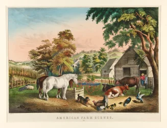 Cenas da Fazenda Americana / No. 3