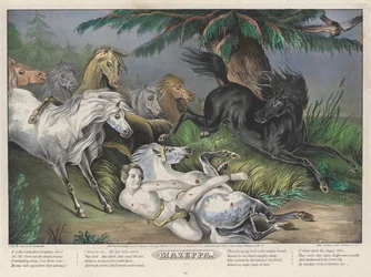 Mazeppa: Prato 3 do conjunto de Quatro (4) Pratos (Rodeados de Cavalos Selvagens)