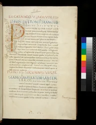 Sra. 394.1. Pliny the Elder, Historia naturalis, f.1r. Inicial iluminada [P] com decoração de vinha branca (inacabada), Nápoles, meados do século XV, c.1442 (pergaminho)