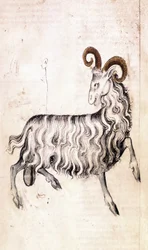Sloane 3983 f3v O signo do zodíaco Capricórnio (vellum)
