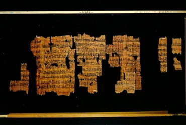 Fragmentos do documento contendo os atos do faraó Tutmose III (papiro)