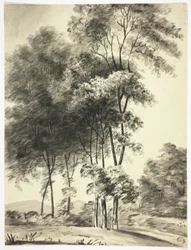 Árvores com montanhas à distância