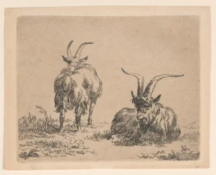 Duas cabras