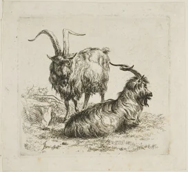 Duas cabras com chifres grandes, de vários animais